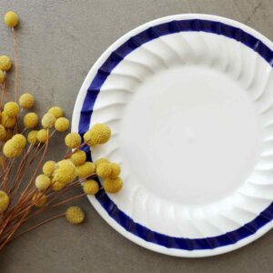 خرید ظرف چینی آنتیک نو با بهترین قیمت بشقاب آنتیک